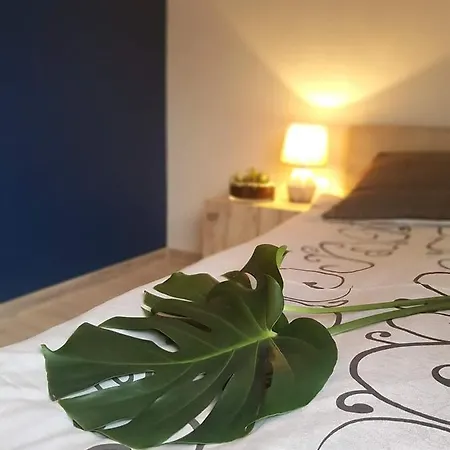 I Kacper- Swietna Lokalizacja Blisko Plazy