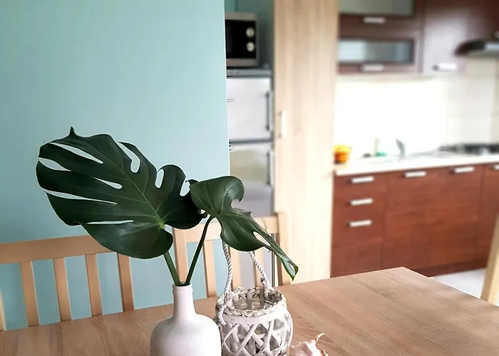 I Kacper- Swietna Lokalizacja Blisko Plazy